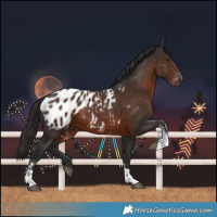 Horse Color:Gray Liver Chestnut Sabino Tobiano Blanket Rabicano 