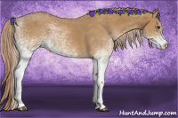 Horse Color:White Spotted Red Roan 