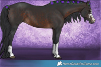 Horse Color:Brown 