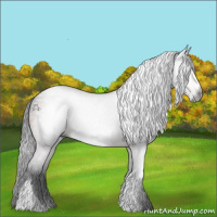 Horse Color:Gray Bay 