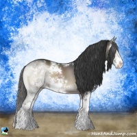 Horse Color:Blue Onyx Sabino