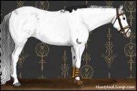 Horse Color:Brown Sabino Near Leopard Rabicano 