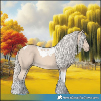 Horse Color:Cremello Tobiano