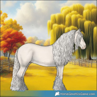 Horse Color:Cremello Dun Tobiano 