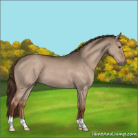 Horse Color:Liver Red Dun Roan 