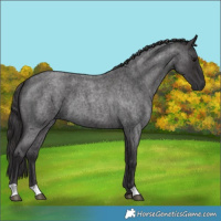Horse Color:Smoky Blue Roan 
