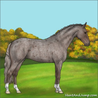 Horse Color:Silver Blue Roan