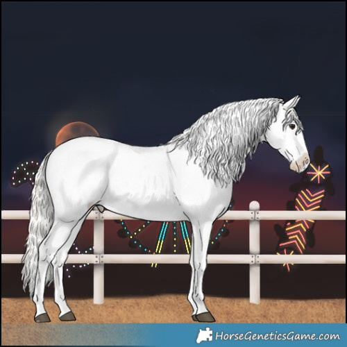 Horse Color:Silver Bay Dun Sabino Appaloosa 