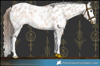 Horse Color:Bay Roan Dun Splash Near Leopard 