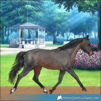 Horse Color:Brown Varnish 