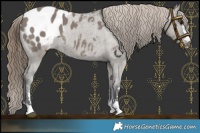 Horse Color:Smoky Grullo Varnish 