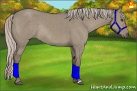 Horse Color:Silver Grullo Rabicano