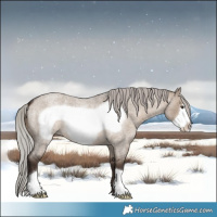 Horse Color:Silver Brown Roan Dun Frame 