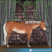 Horse Color:Silver Bay 