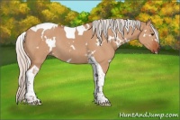Horse Color:White Spotted Silver Bay Dun Tobiano Rabicano 