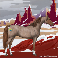 Horse Color:Red Roan Tobiano 