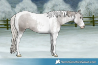 Horse Color:White Spotted Silver Black Tobiano 