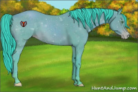 Horse Color:Watercolor Sable Champagne 