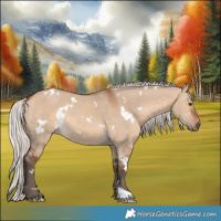 Horse Color:White Spotted Silver Brown Dun 