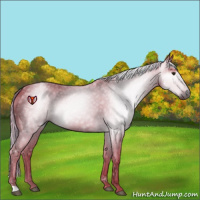 Horse Color:Gray Watercolor Liver Chestnut Rabicano
