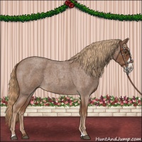 Horse Color:Red Roan Frame