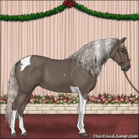 Horse Color:Silver Black Tobiano