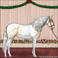 Horse Color:Palomino Ice Dun Tobiano 