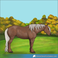 Horse Color:Silver Black 