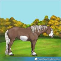Horse Color:Silver Black Frame