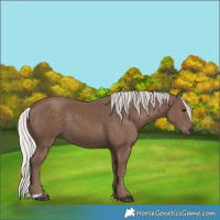 Horse Color:Silver Black 