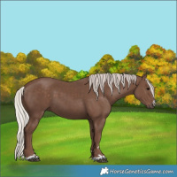 Horse Color:Silver Black 