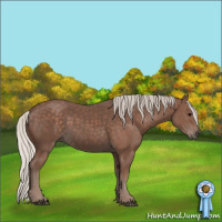 Horse Color:Silver Black 