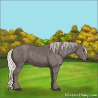Horse Color:Silver Black 