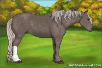 Horse Color:Silver Black 