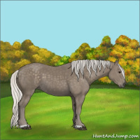 Horse Color:Silver Smoky Black 