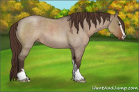 Horse Color:Liver Red Dun Roan Sabino