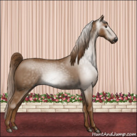 Horse Color:Gray Chestnut 