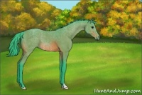 Horse Color:Watercolor Bay 