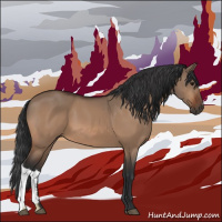 Horse Color:Bay Dun 