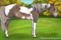 Horse Color:Silver Blue Roan Tobiano Frame 