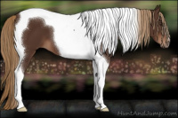 Horse Color:Liver Chestnut Tobiano 