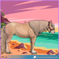 Horse Color:Gold Champagne 