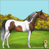 Horse Color:Bay Tobiano