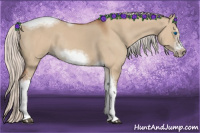 Horse Color:Silver Bay Dun Sabino Tobiano Frame Rabicano 