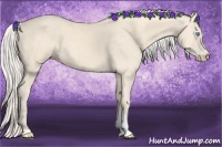 Horse Color:Cremello Tobiano 
