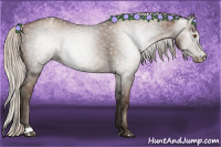 Horse Color:Gray Silver Black Pearl Tobiano 