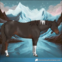 Horse Color:Liver Chestnut Tobiano Rabicano