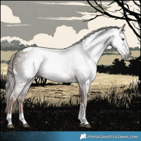 Horse Color:Gray Chestnut Tobiano