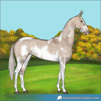 Horse Color:Silver Bay Dun Sabino Tobiano Frame Rabicano 