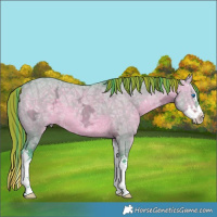 Horse Color:Painted Watercolor Brown Ice Dun Splash